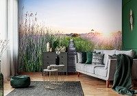 Флизелиновые 3д фотообои природа 416x254 см Пейзаж дорожка на рассвете в поле (14624VEXXXL) +клей