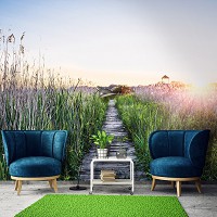 Флизелиновые 3д фотообои природа 416x290 см Пейзаж дорожка на рассвете в поле (14624VEXXXXL) +клей