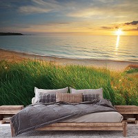 Пейзаж флизелиновые фотообои 312x219 см 3D Зеленая трава на морском пляже (14625VEXXL)+клей