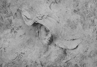 Флизелиновые фотообои на кухню 312x219 см Элегантная девушка в серых тонах под барельеф (14685VEXXL) +клей - вид 1 миниатюра