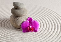 Флизелиновые фотообои природа 254x184 см 3Д СПА - орхидеи и камни на песке (146V4)+клей