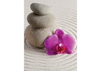 Флизелиновые фотообои в интерьере прихожей 184x254 см 3Д СПА - орхидеи и камни на песке (146V4A)+клей