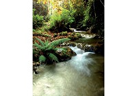 Флизелиновые фотообои 3д в спальню 206x275 см Ручей в лесу (147VEA)+клей