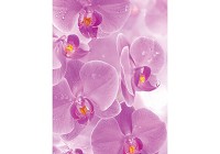 Дизайн зала флизелиновые фотообои 184x254 см 3Д Цветы - Большие розовые орхидеи (149V4A)+клей