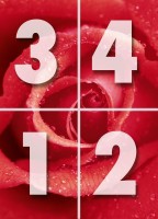 Фотообои 3D цветы 183х254 см Wizard+Genius 368 Роза 4 сегмента (7611487003687)+клей - вид 3 миниатюра