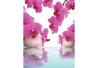 Дизайн маленькой гостиной с флизелиновыми фотообоями 206x275 см 3Д Розовые орхидеи и камни на воде (151VEA)+клей