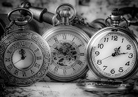3д флизелиновые фотообои в зал 254x184 см Черно-белые карманные часы (1520V4)+клей