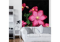 Флизелиновые фотообои в гостиную 184x254 см 3Д Большие красные цветы клематиса (1556V4A)+клей