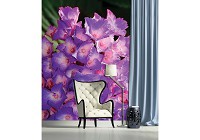 3d флизелиновые фотообои в спальню 206x275 см Цветы - Гортензия крупнолистная (1563VEA)+клей