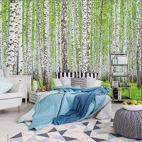 Флизелиновые фотообои природа 312x219 см Деревья Березовый лес (157VEXXL)+клей