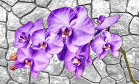3d флизелиновые фотообои в спальню 254x184 см Фиолетовые орхидеи на каменной стене (1606V4)+клей