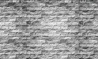 Флизелиновые фотообои в зал 312x219 см Серая кирпичная стена (1659VEXXL)+клей