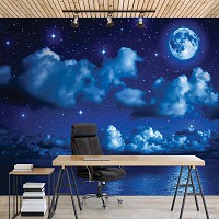 Флизелиновые фотообои 254x184 см Звезды и облака на ночном небе (1731V4)+клей