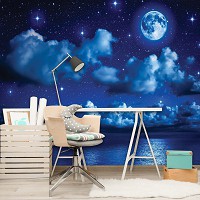 Флизелиновые фотообои луна 368x254 см Звезды и облака на ночном небе (1731V8)+клей