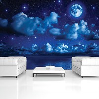 Рулонные флизелиновые фотообои 312x219 см Звезды и облака на ночном небе (1731VEXXL)+клей