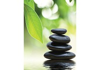 Квартира флизелиновые фотообои в зал 206x275 см Природа и спа камни (174VEA)+клей