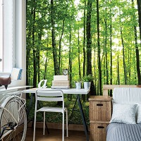 Флизелиновые фотообои природа 254x184 см Деревья Пейзаж Зеленый лес (186V4)+клей