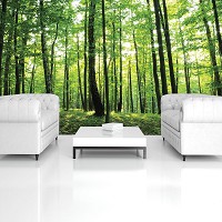 Флизелиновые фото обои 368х254 см Природа Деревья Пейзаж Зеленый лес (186V8)+клей