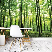 Лето природа флизелиновые фотообои 312x219 см Деревья Пейзаж Зеленый лес (186VEXXL)+клей