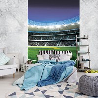 Флизелиновые фото обои футбольный стадион 206x275 см 3Д Спорт Мяч (1914VEA)+клей