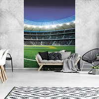 Флизелиновые фотообои фото Спорт 184x254 см 3Д Футбол - Мяч на стадионе (1914V4A)+клей