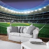 Флизелиновые фотообои на кухню Спорт 368x254 см 3Д Футбол - Мяч на стадионе (1914V8)+клей