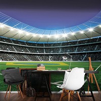 Флизелиновые фотообои в спальню Спорт 312x219 см 3Д Футбол - Мяч на стадионе (1914VEXXL)+клей