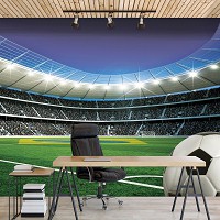 Флизелиновые фотообои футбол в интерьере 312x219 см Спорт 3Д Стадион и мяч (1915VEXXL)+клей