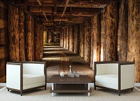 Флизелиновые фотообои под дерево 368x254 см 3Д Туннель из деревянных бревен (1962V8)+клей