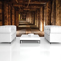 Флизелиновые фотообои под дерево 254x184 см 3Д Туннель из деревянных бревен (1962V4)+клей