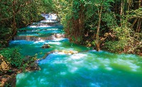Флизелиновые фотообои лето пейзаж 312x219 см 3Д Природа Красивый лесной водопад (1968VEXXL)+клей - вид 1 миниатюра