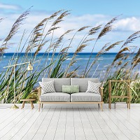 Флизелиновые фотообои природа 312x219 см 3Д Ландшафт Небо Облака Море Трава на пляже (1976VEXXL)+клей