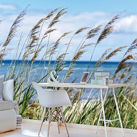 Красивые пейзажи флизелиновые фотообои 416x254 см 3Д Ландшафт Небо Облака Море Трава на пляже (1976VEXXXL)+клей