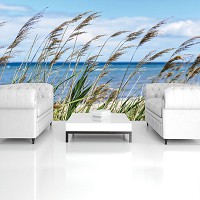 Флизелиновые фотообои 3д природа 368x254 см Ландшафт Небо Облака Море Трава на пляже (1976V8)+клей - вид 8 миниатюра