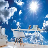 Флизелиновые фотообои 312x219 см Небо солнце облака (1991VEXXL)+клей