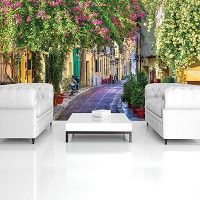 3 д флизелиновые фотообои природа 254x184 см Архитектура Аллея Греческая улица с цветами (1996V4)+клей - вид 9 миниатюра