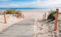 Флизелиновые фотообои с морской тематикой Пейзаж Пляж 416x254 см 3Д Дорожка на берегу океана (1998VEXXXL)+клей - вид 1 миниатюра