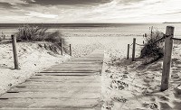 Флизелиновые фотообои 312x219 см Черно-белый пляж выход к морю (2024VEXXL)+клей - вид 1 миниатюра