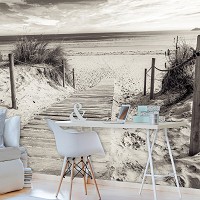 Флизелиновые фотообои 312x219 см Черно-белый пляж выход к морю (2024VEXXL)+клей
