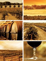 Флізелінові фотошпалери для кухні 206x275 см Вино (20421VEA) +клей - вид 1 мініатюра