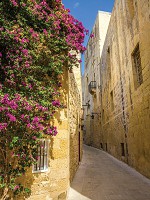 Флизелиновые 3Д фотообои в коридор 184x254 см Старая европейская улочка с цветами (2129V4A)+клей