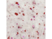 Рідкі шпалери Юрскі Гортензія 213 Білий