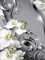 Флизелиновые 3д фотообои цветы 184x254 см Орхидеи и темные линии (2158V4A) +клей