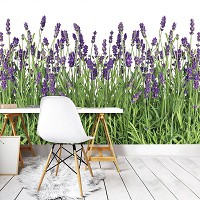 Флизелиновые фотообои природа весна 368x254 см Цветущая лаванда на белом фоне (2174V8)+клей