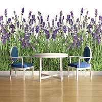 Флизелиновые фотообои цветы 312x219 см Цветущая лаванда на белом фоне (2174VEXXL)+клей