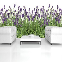 Флизелиновые фотообои в интерьере 416x254 см Цветущая лаванда на белом фоне (2174VEXXXL)+клей