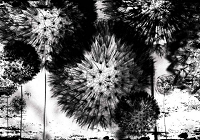 Красивые флизелиновые фотообои на кухню цветы 368x254 см Бело-черные одуванчики (2189V8)+клей