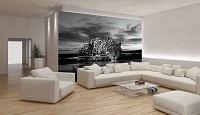Флизелиновые 3D фото обои животные 416х254 см Черно-белый леопард ягуар (218VEXXXL)+клей - вид 5 миниатюра