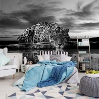 Флизелиновые 3д фотообои с котами 368x254 см Черно-белый леопард ягуар (218V8)+клей