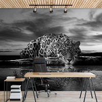 Котики флизелиновые 3д фотообои 254x184 см Черно-белый леопард ягуар (218V4)+клей - вид 9 миниатюра